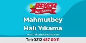 mahmutbey hali yikama