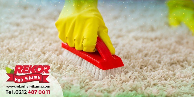 Ovma Fırçasıyla Sarı Lekeye Uygulayın