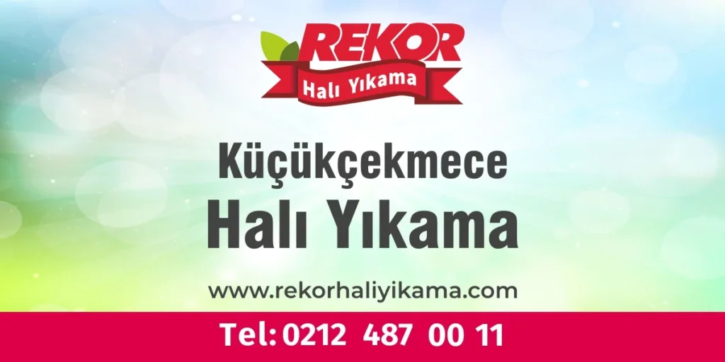 Küçükçekmece'de halı yıkama işlemi sırasında kullanılan profesyonel ekipmanlar