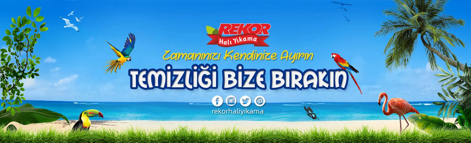 Rekor Halı Yıkama Fabrikası
