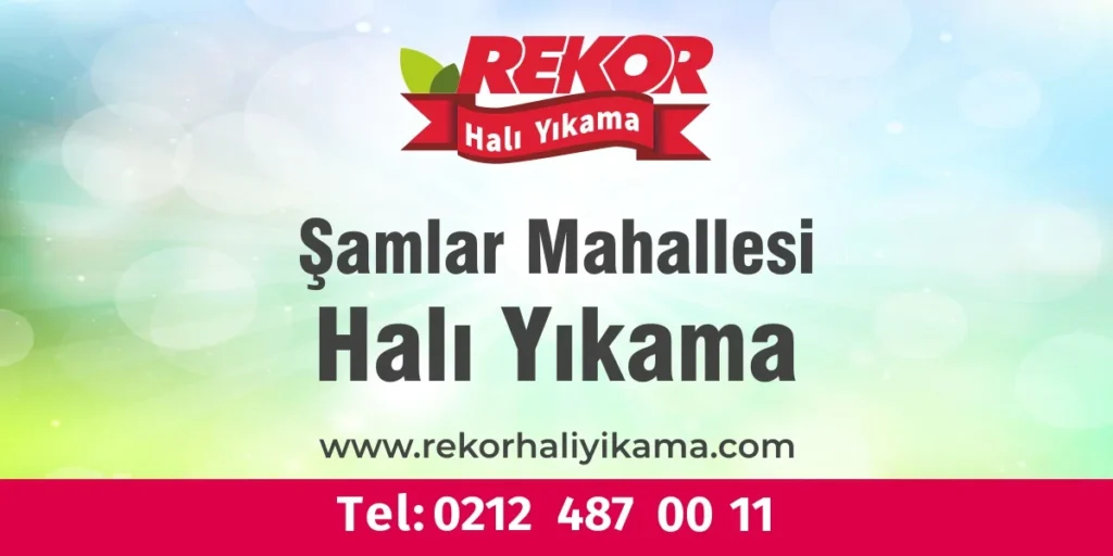 Şamlar Mahallesi Halı Yıkama